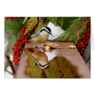 Trepatroncos de pecho rojo