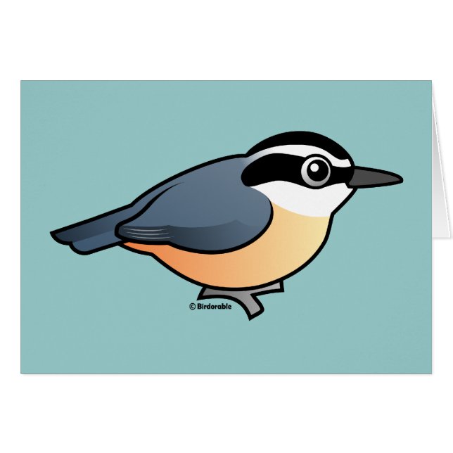 Trepatroncos de pecho rojo (Anverso (Horizontal))