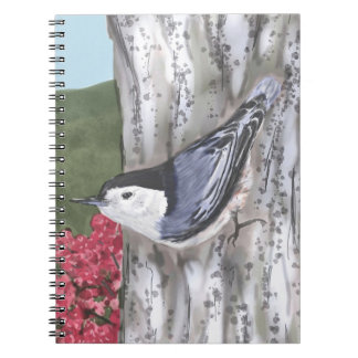 Trepatroncos y cuaderno Blancos-Breasted de las
