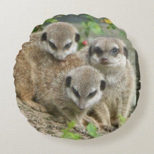 Tres adorables suricatas almohada redonda