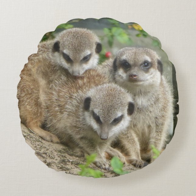 Tres adorables suricatas almohada redonda (Anverso)