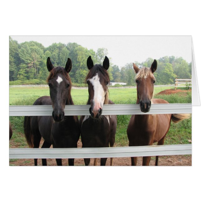 Tres Amigas (Anverso (Horizontal))