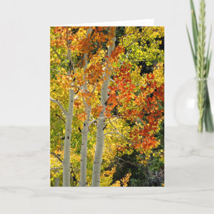 Tres ápenes en otoño, tarjeta de felicitación en b