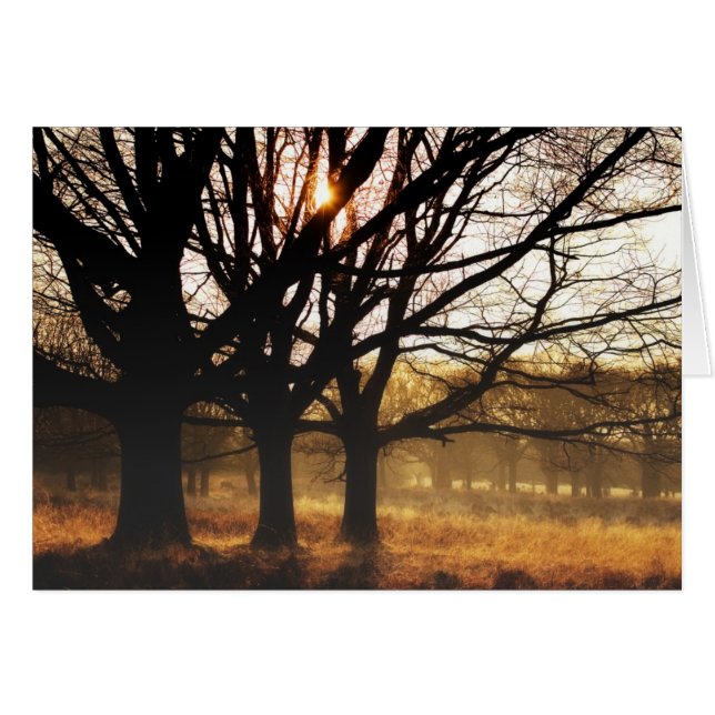 Tres árboles (Anverso (Horizontal))