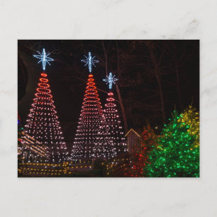 Tres Árboles En La Postales De Midtown