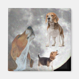 Tres beagles y el imán de la luna