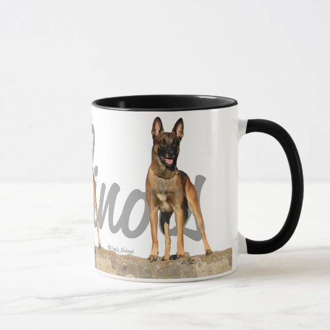 Tres belga Malinois con la taza del nombre de la (Derecha)