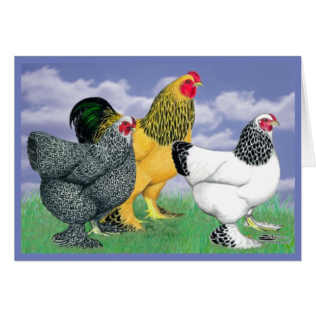 Tres Brahmas (Anverso (Horizontal))