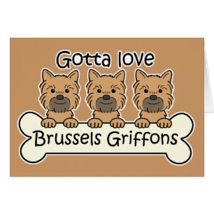 Tres Bruselas Griffons
