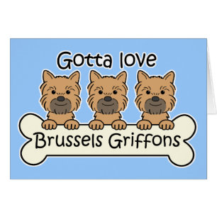 Tres Bruselas Griffons