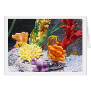 Tres caballitos de mar