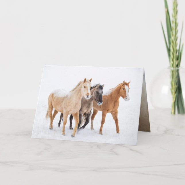 Tres caballos coloridos - Tarjeta de felicitación (Anverso)