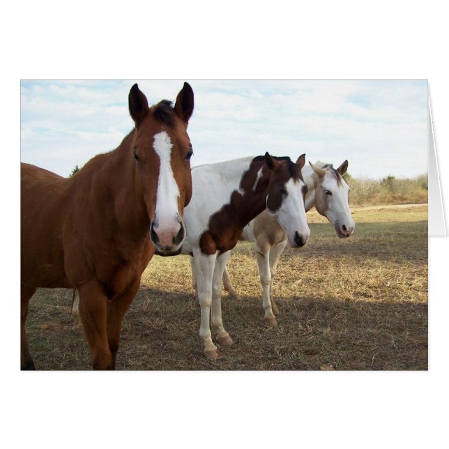 Tres caballos (tarjeta en blanco) (Anverso (Horizontal))