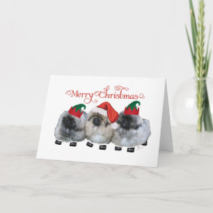 Tres cachorros de Pekín en Navidad