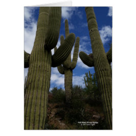 Tres cactus gigantes del Saguaro con el cielo azul