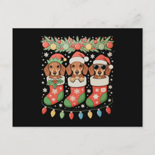 Tres calcetines divertidos de Navidad de perros sa
