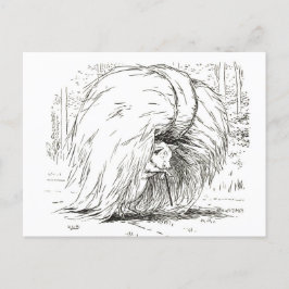 Tres Cerditos: La primera postal del Cerdito