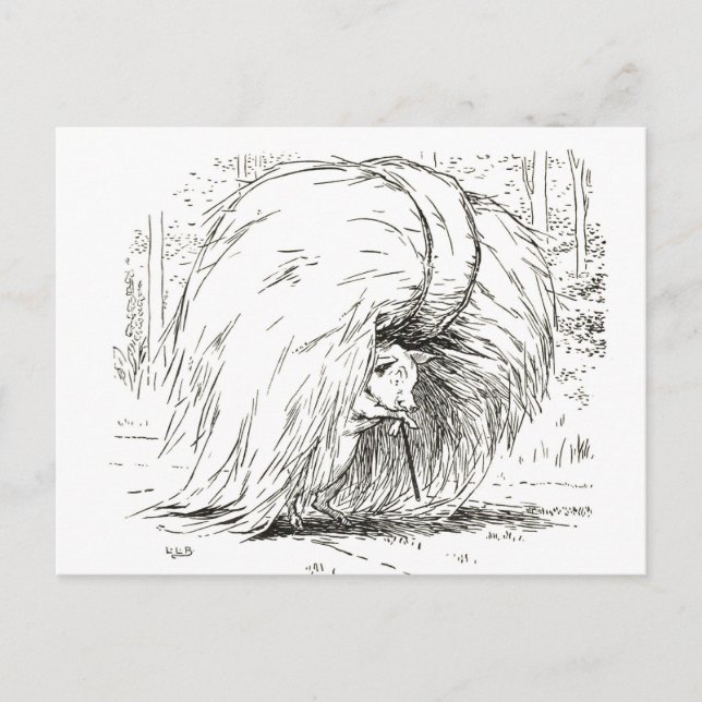 Tres Cerditos: La primera postal del Cerdito (Anverso)