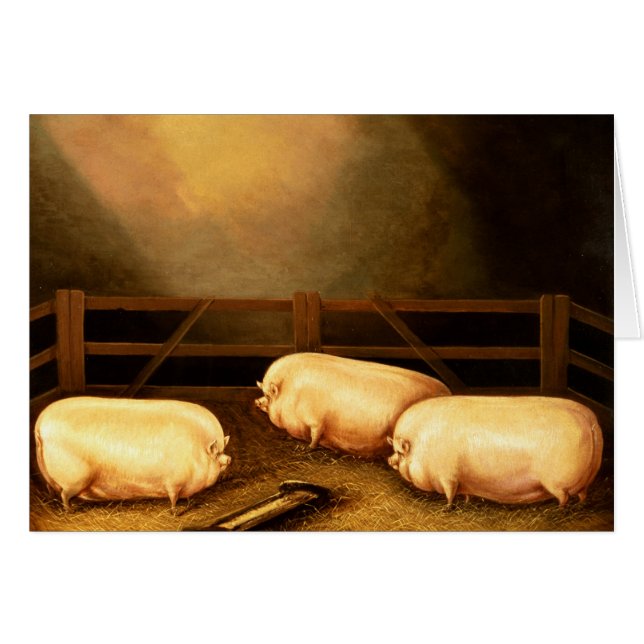 Tres cerdos de premio fuera de un Sty (Anverso (Horizontal))