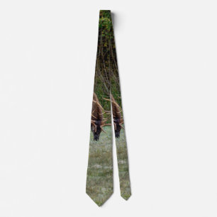 Tres corbatas de cuello de toro