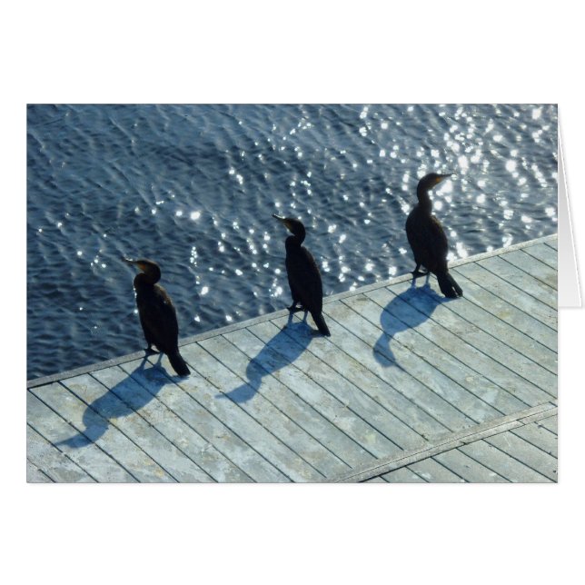 Tres Cormorantes (Anverso (Horizontal))