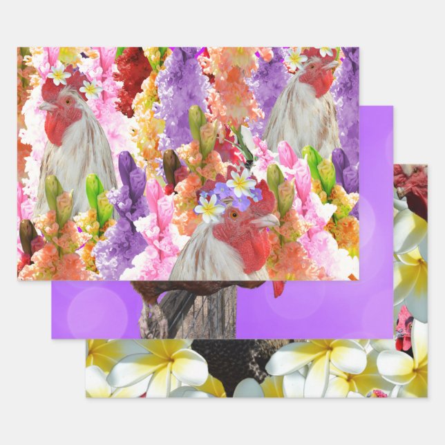 Tres diseños de pollo, ajuste de regalo, hojas de  (Set)