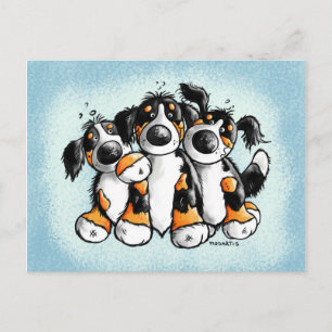 Tres divertidas postales de perros de montaña Bern