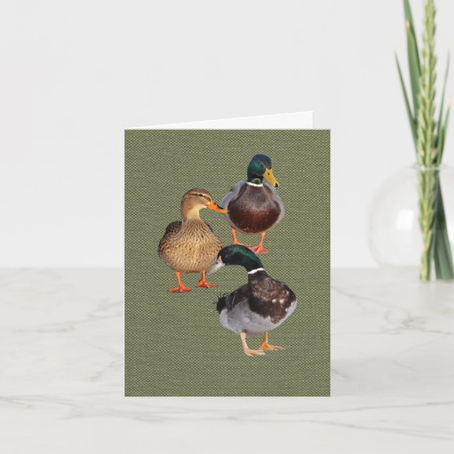 Tres divertidos y salvajes Ducks Tarjeta de felici (Anverso)