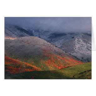 Tres estaciones de follaje, arces rojas y otoño