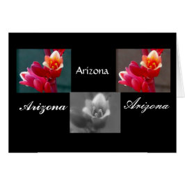 Tres flores de Penstemon, Arizona