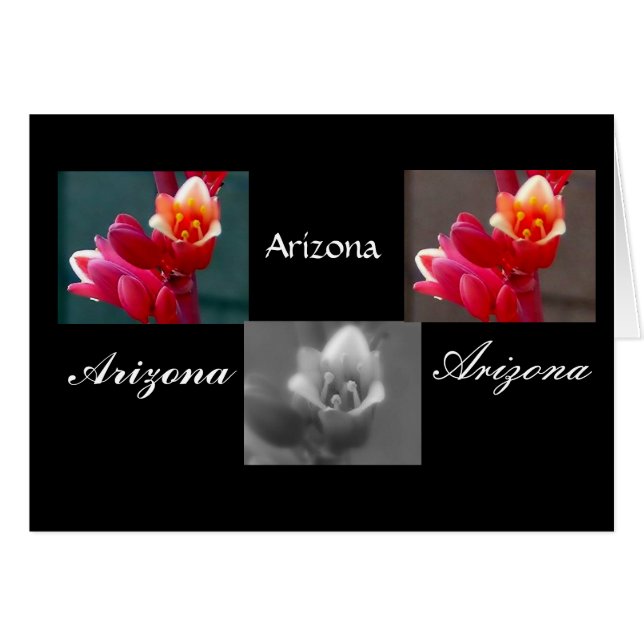Tres flores de Penstemon, Arizona (Anverso (Horizontal))