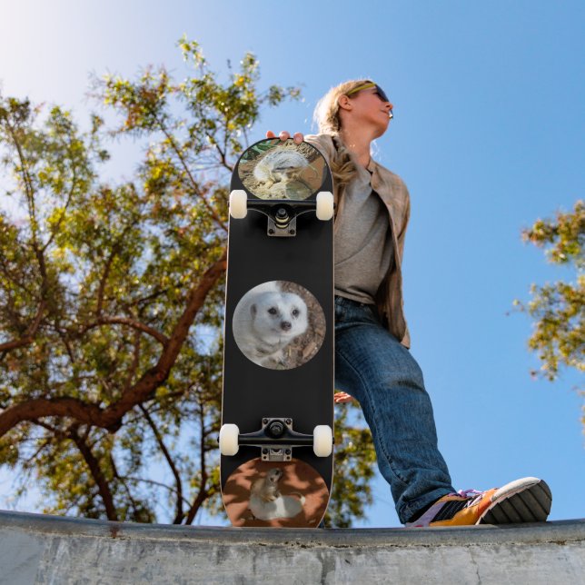 Tres fotos de Meerkat, skateboard completa (Exterior 1)