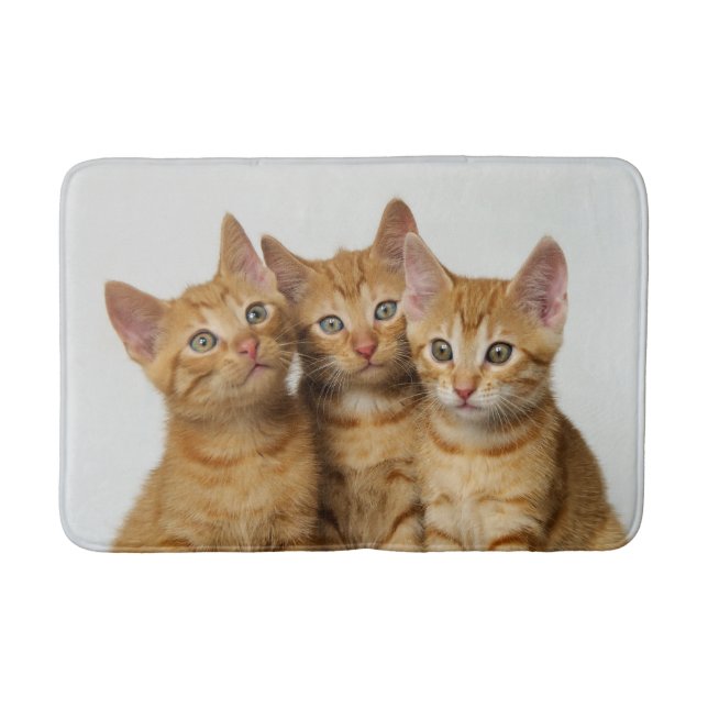 Tres gatitos de jengibre codo a codo, alfombra (Anverso)