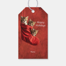 Tres gatitos en una Etiqueta de Regalo de Media de