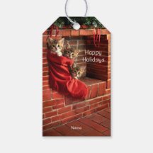 Tres gatitos en una Etiqueta de Regalo de Media de