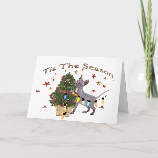 Tres gatos y tarjetas para Navidades Pug (Anverso)