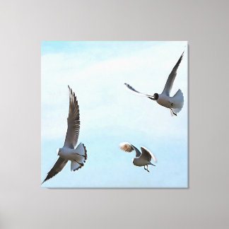 Tres Gaviotas De Cabeza Negra Del Arte Del Bósforo