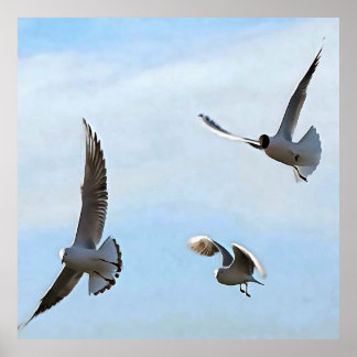 Tres Gaviotas De Cabeza Negra Del Arte Del Bósforo