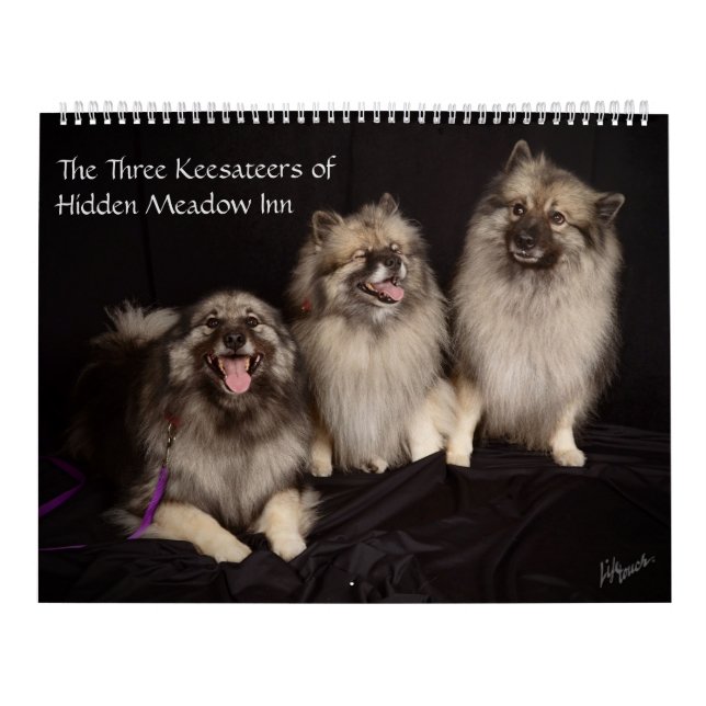 Tres Keesateers de Hidden Meadow en el calendario (Tapa)