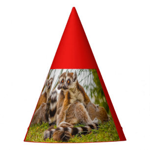 tres lémures con sombrero de fiesta