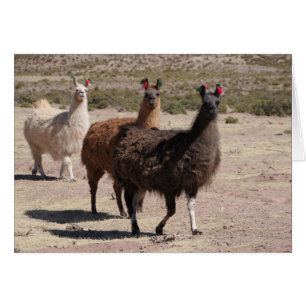 Tres Llamas Marrones No Tarjeta