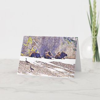 Tres Moose, notecard