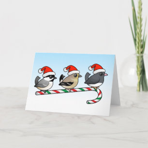 Tres pájaros cantantes del navidad (los E.E.U.U.)