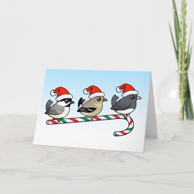 Tres pájaros cantantes del navidad (los E.E.U.U.) (Anverso)