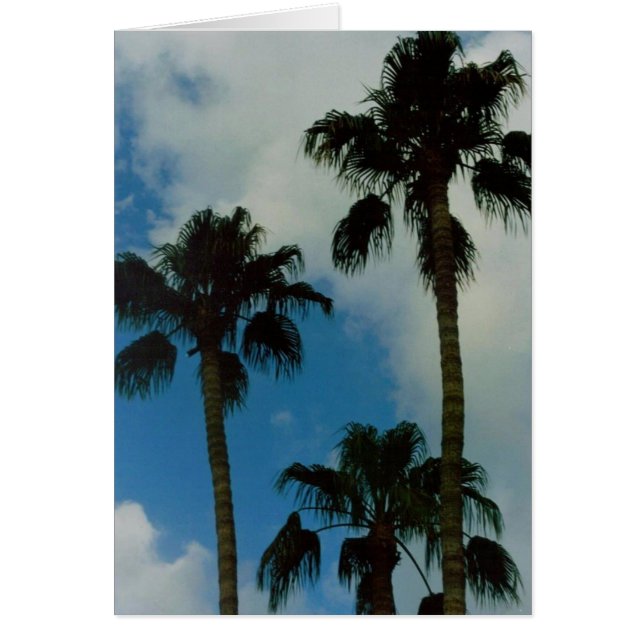 Tres palmas (Frente)