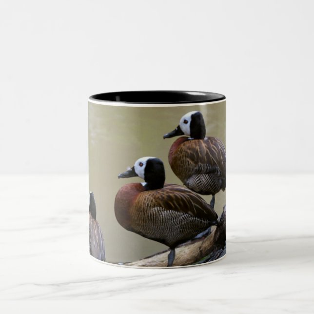 Tres patos en una taza del registro (Centro)