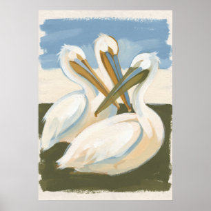 Tres Pelícanos Blancos Arte Popular Costero