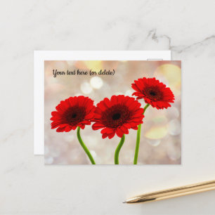 Tres pequeñas postales de Gerberas Rojas
