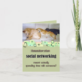 Tres Perros Adorables Tarjeta de felicitación de c