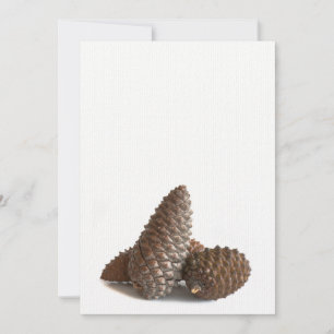 Tres pinecones
